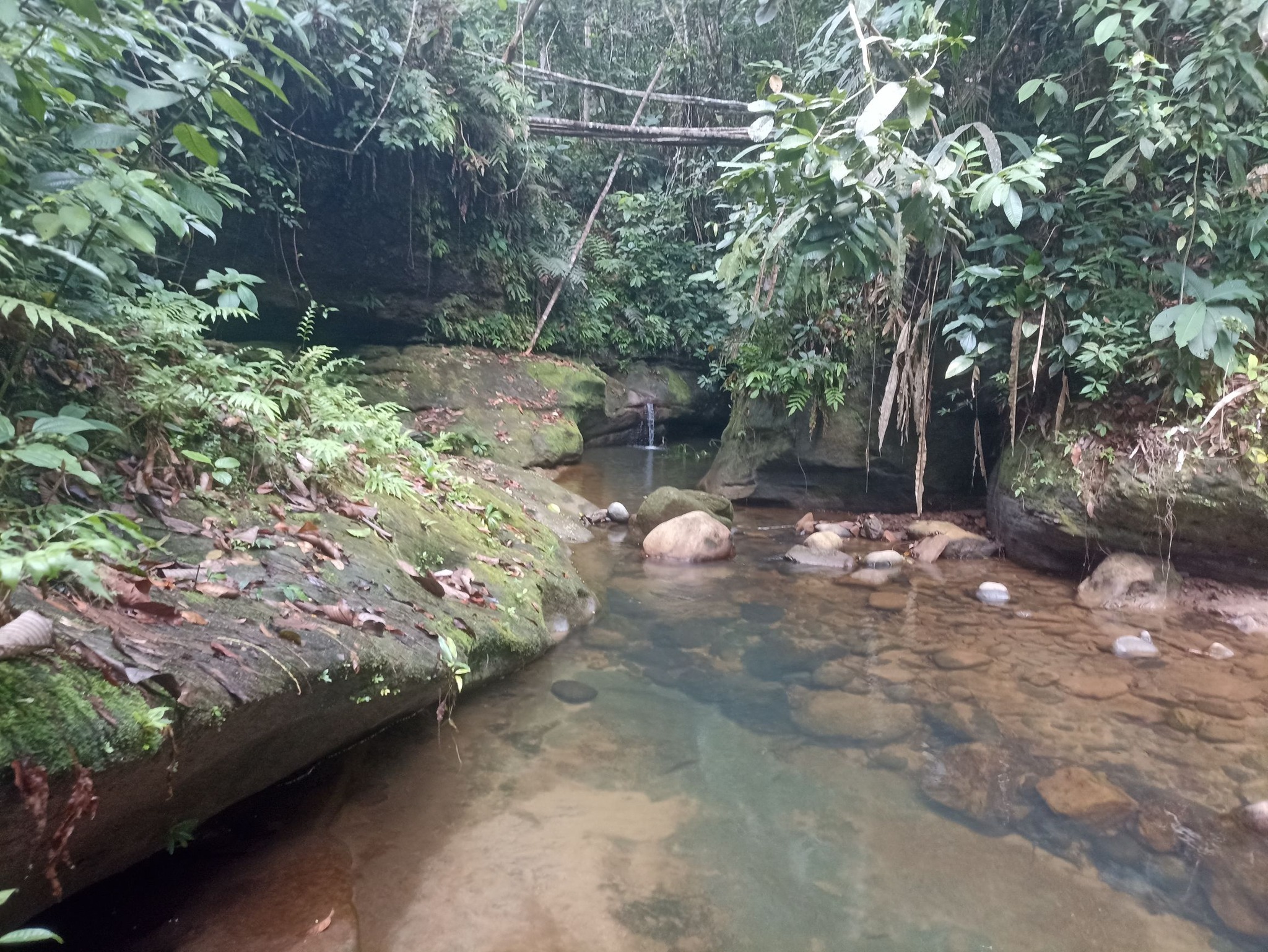 Río cristalino en la Amazonía del Caquetá